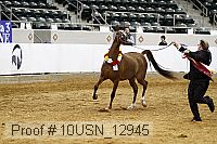 10usn_12945 proof