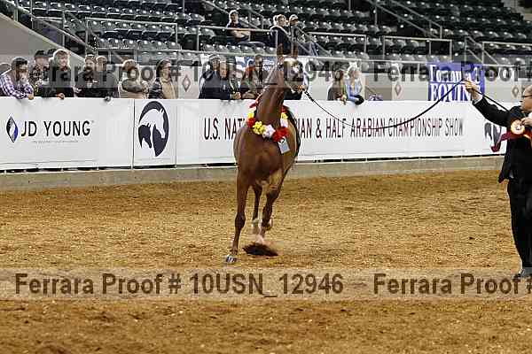 Proof 10usn_12946