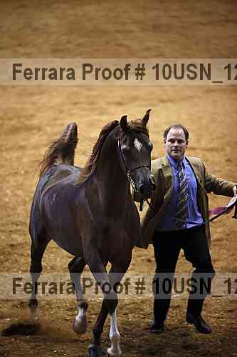 Proof 10usn_12955
