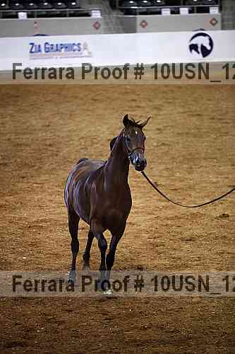 Proof 10usn_12956