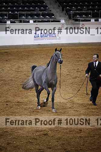 Proof 10usn_12957