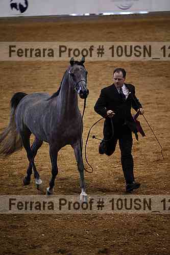 Proof 10usn_12958