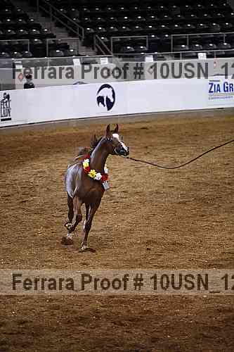Proof 10usn_12960
