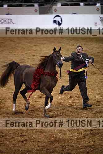 Proof 10usn_12962