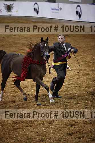 Proof 10usn_12963