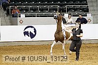 10usn_13129 proof