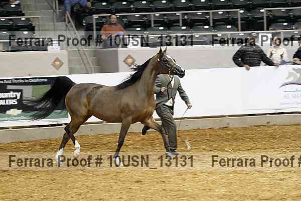 Proof 10usn_13131