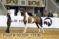 10usn_13136 proof