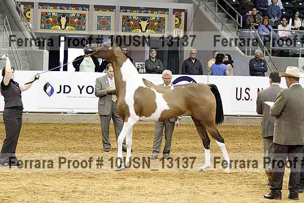 Proof 10usn_13137
