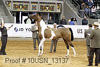10usn_13137 proof