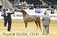 10usn_13141 proof