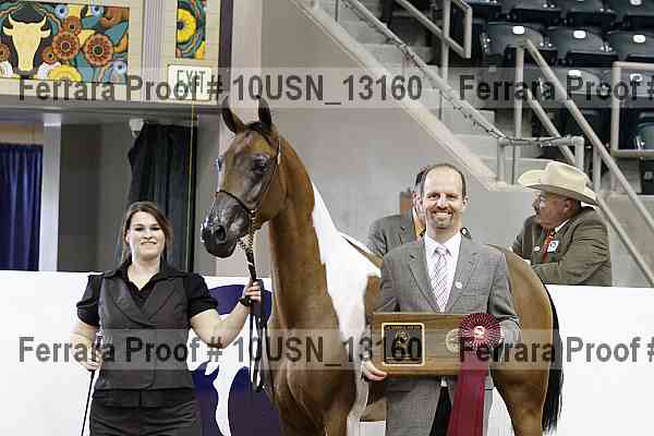 Proof 10usn_13160