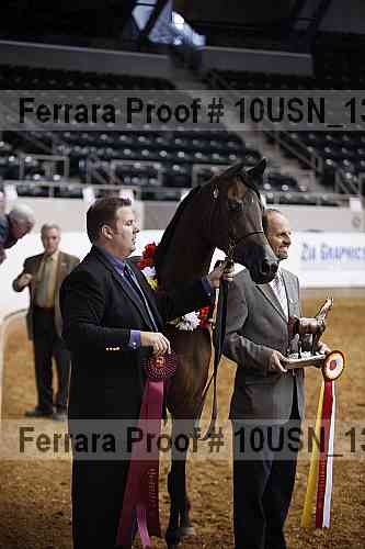 Proof 10usn_13169