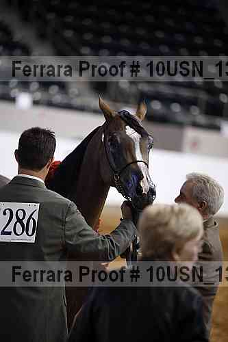 Proof 10usn_13178