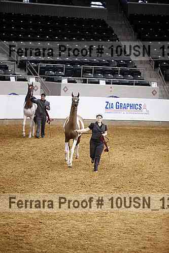 Proof 10usn_13183