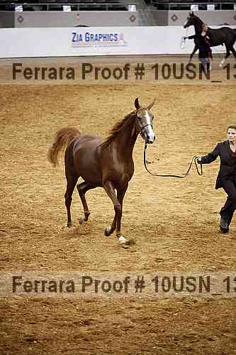 Proof 10usn_13187