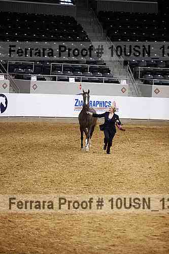 Proof 10usn_13189