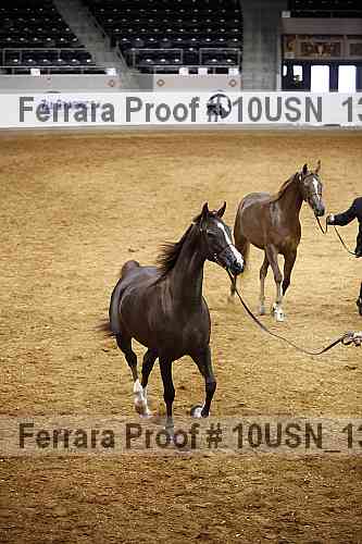 Proof 10usn_13190