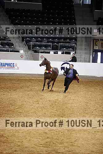 Proof 10usn_13191