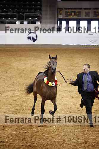 Proof 10usn_13192
