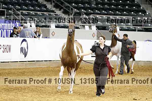 Proof 10usn_13195