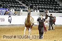 10usn_13195 proof
