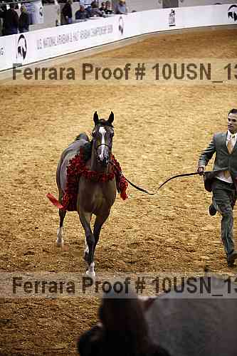 Proof 10usn_13196