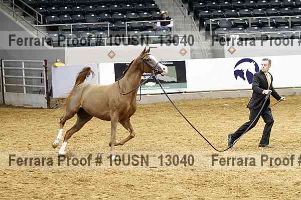 Proof 10usn_13040