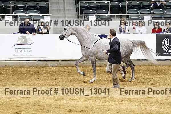 Proof 10usn_13041