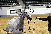 10usn_13042 proof