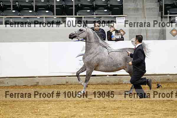 Proof 10usn_13045