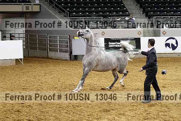 Proof 10usn_13046