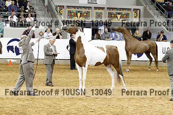 Proof 10usn_13049