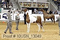 10usn_13049 proof