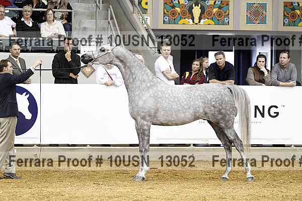Proof 10usn_13052