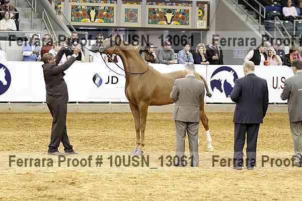Proof 10usn_13061