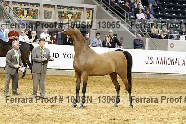 Proof 10usn_13065