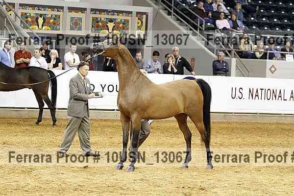 Proof 10usn_13067