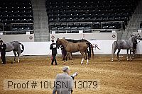 10usn_13079 proof