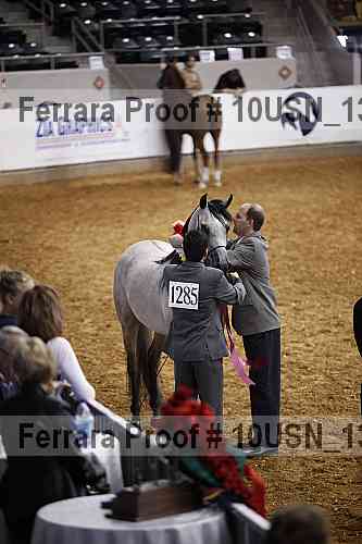 Proof 10usn_13081