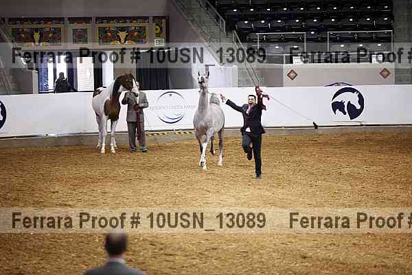 Proof 10usn_13089