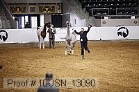 10usn_13090 proof