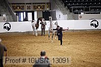 10usn_13091 proof