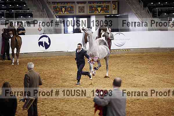 Proof 10usn_13093
