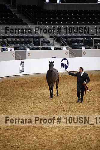 Proof 10usn_13111