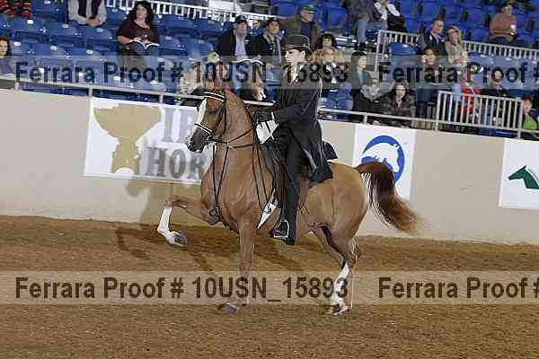 Proof 10usn_15893