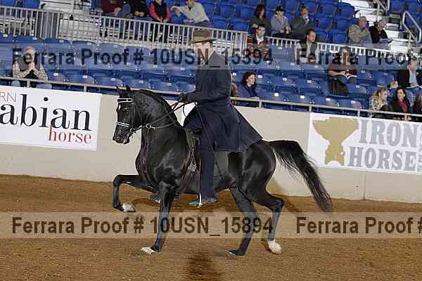 Proof 10usn_15894