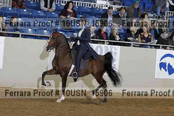 Proof 10usn_15906