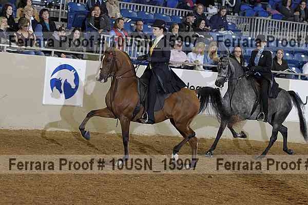 Proof 10usn_15907