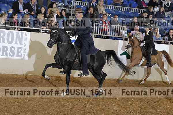 Proof 10usn_15914